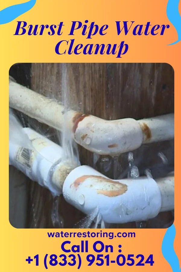 Burst Pipe Water Cleanup in Andrews, TX