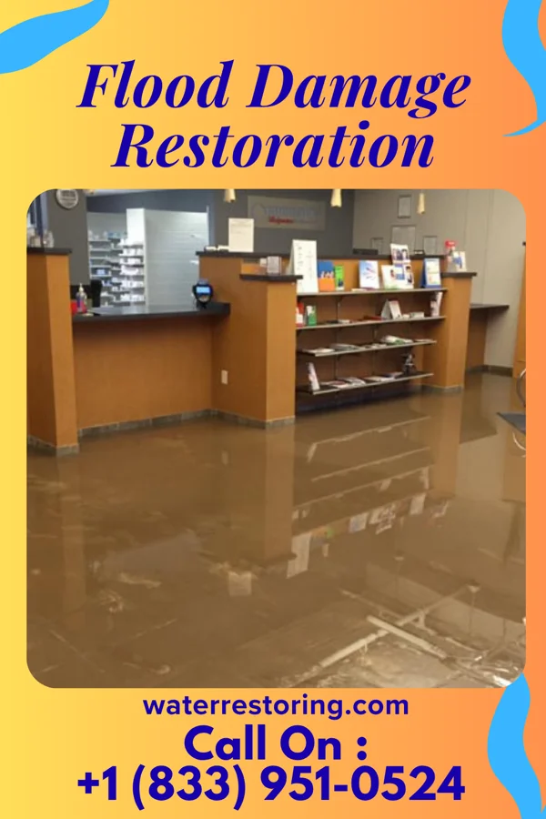 Flood Damage Restoration in Andrews, TX