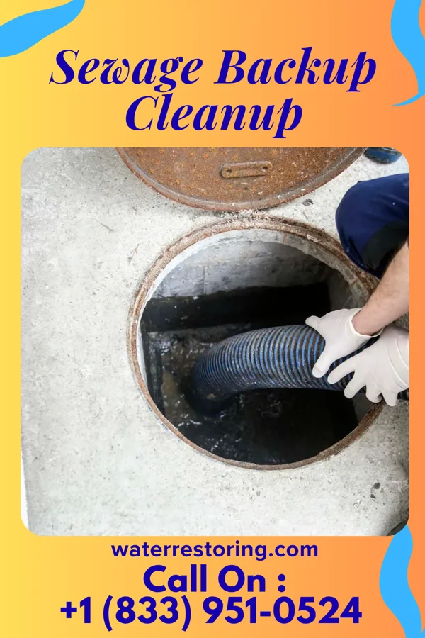Sewage Backup Cleanup in Andrews, TX