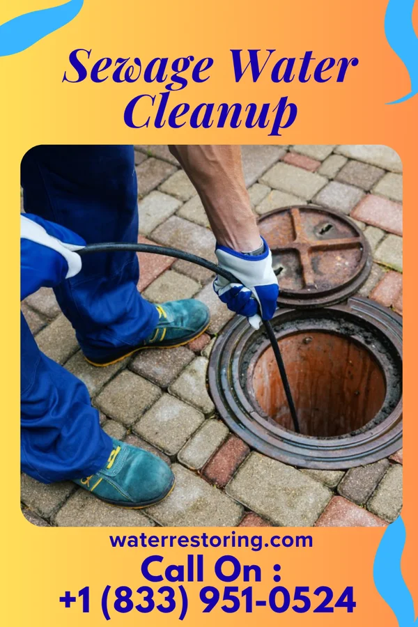 Sewage Water Cleanup in Andrews, TX